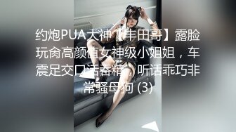 约炮PUA大神【丰田哥】露脸玩肏高颜值女神级小姐姐，车震足交口活吞精，听话乖巧非常骚母狗 (3)