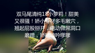 重口味双插系列之采访剧情金发碧眼眼镜气质美女支持人被采访对象玩肛门阴道前后一起干开心的吃精