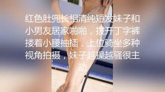 bunnyMiffy 和豐滿的美女同事去她家裏偷情