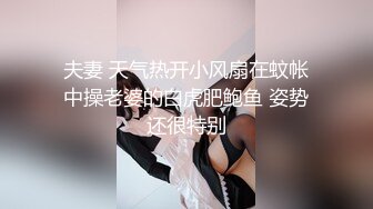 夫妻 天气热开小风扇在蚊帐中操老婆的白虎肥鲍鱼 姿势还很特别