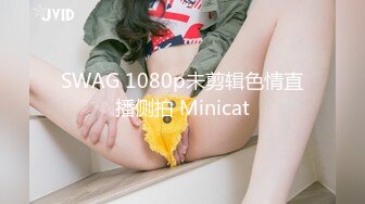 SWAG 1080p未剪辑色情直播侧拍 Minicat