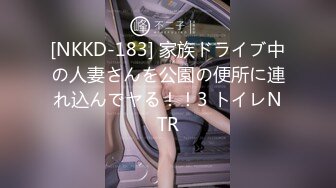 [NKKD-183] 家族ドライブ中の人妻さんを公園の便所に連れ込んでヤる！！3 トイレNTR