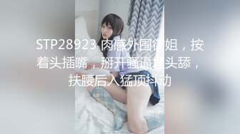 THE 未公開 ～個室トイレでこっそりしゃぶるの大好き～