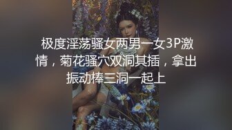  极度淫荡骚女两男一女3P激情，菊花骚穴双洞其插，拿出振动棒三洞一起上