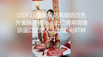 母亲的性指导 女优：中条爱莉 VIP0600