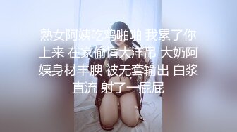 黄长裙性感花纹蓝内美女