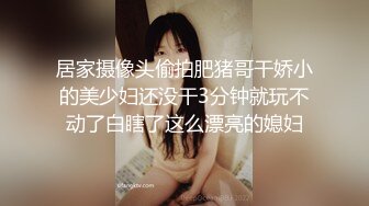 【MMZ033】画家的女学徒