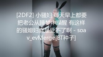 91MS-005.91新人.女优面试五.初次试镜做爱.91制片厂