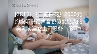 Jessica Lo 傳說中的VR虛擬女友 让人心动 吸引男人的眼球[150P+2V/972M]