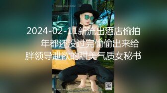 WorkingWoman’sLegs04大手貿易商社社長秘書