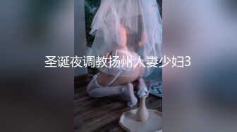 【无水印精选】【反差婊子】双节大礼包30位精选反差婊视图淫荡大合集