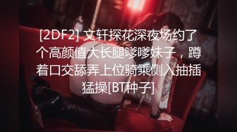 [2DF2] 文轩探花深夜场约了个高颜值大长腿嗲嗲妹子，蹲着口交舔弄上位骑乘侧入抽插猛操[BT种子]