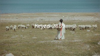 heyzo-2869