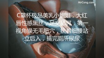 C罩杯极品美乳小姐姐，大红唇性感黑丝，足交舔屌，第一视角操无毛肥穴，扶着细腰站立后入，搞完厕所尿尿