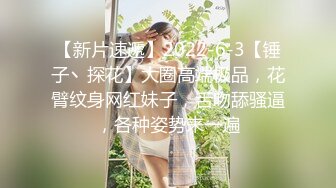 【新片速遞】2022-6-3【锤子丶探花】大圈高端极品，花臂纹身网红妹子，舌吻舔骚逼，各种姿势来一遍