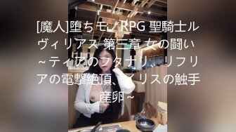 [魔人]堕ちモノRPG 聖騎士ルヴィリアス 第三章 女の闘い ～ティアのフタナリ、リフリアの電撃絶頂、イリスの触手産卵～