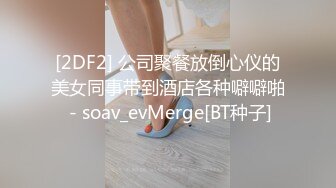 [2DF2] 公司聚餐放倒心仪的美女同事带到酒店各种噼噼啪 - soav_evMerge[BT种子]