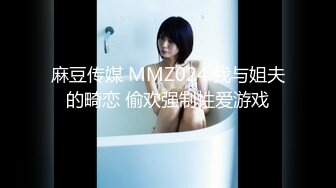 麻豆传媒 MMZ024 我与姐夫的畸恋 偷欢强制性爱游戏